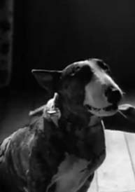 Frankenweenie (Tim Burton)